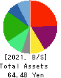 MEDICAL SYSTEM NETWORK Co.,Ltd. Balance Sheet 2021年Mar期 MEDICAL SYSTEM NETWORK Co.,Ltd. Balance Sheet 2021年3月期