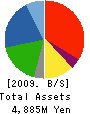 Biscaye Holdings Co.,LTD. Balance Sheet 2009年8月期