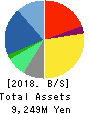 PCI Holdings,INC. Balance Sheet 2018年9月期