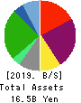 VIA Holdings,Inc. Balance Sheet 2019年3月期