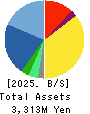 SHINWA WISE HOLDINGS CO.,LTD. Balance Sheet 2025年May期 SHINWA WISE HOLDINGS CO.,LTD. Balance Sheet 2025年5月期