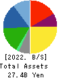 SAINT-CARE HOLDING CORPORATION Balance Sheet 2022年3月期