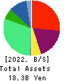 halmek holdings Co.,Ltd. Balance Sheet 2022年Mar期 halmek holdings Co.,Ltd. Balance Sheet 2022年3月期