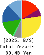 SAINT-CARE HOLDING CORPORATION Balance Sheet 2025年Mar期 SAINT-CARE HOLDING CORPORATION Balance Sheet 2025年3月期