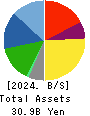 SAINT-CARE HOLDING CORPORATION Balance Sheet 2024年3月期