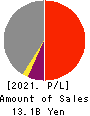 AMG HOLDINGS CO., LTD. Profit and Loss Account 2021年3月期