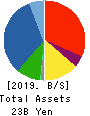 Br. Holdings Corporation Balance Sheet 2019年3月期