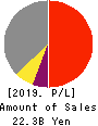 Software Service,Inc. Profit and Loss Account 2019年10月期