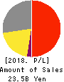 TOYO Corporation Profit and Loss Account 2018年9月期