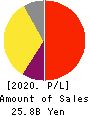 Visional,Inc. Profit and Loss Account 2020年7月期