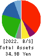 SANIX INCORPORATED Balance Sheet 2022年3月期