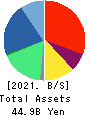 Net Protections Holdings,Inc. Balance Sheet 2021年Mar期 Net Protections Holdings,Inc. Balance Sheet 2021年3月期