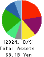 MEDICAL SYSTEM NETWORK Co.,Ltd. Balance Sheet 2024年Mar期 MEDICAL SYSTEM NETWORK Co.,Ltd. Balance Sheet 2024年3月期