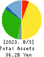 SAN HOLDINGS,INC. Balance Sheet 2023年3月期
