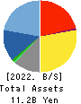 IX Knowledge Incorporated Balance Sheet 2022年3月期