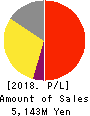 PiPEDO HD,Inc. Profit and Loss Account 2018年2月期