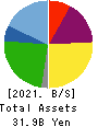 Amvis Holdings,Inc. Balance Sheet 2021年9月期
