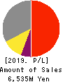 E-Guardian Inc. Profit and Loss Account 2019年9月期