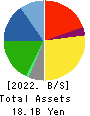 HIGASHI HOLDINGS CO.,LTD. Balance Sheet 2022年Mar期 HIGASHI HOLDINGS CO.,LTD. Balance Sheet 2022年3月期
