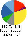 OZU CORPORATION Balance Sheet 2017年May期 OZU CORPORATION Balance Sheet 2017年5月期
