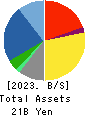 DN HOLDINGS CO.,LTD. Balance Sheet 2023年Jun期 DN HOLDINGS CO.,LTD. Balance Sheet 2023年6月期