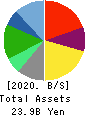 CHARM CARE CORPORATION Balance Sheet 2020年6月期