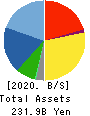 MITANI CORPORATION Balance Sheet 2020年3月期