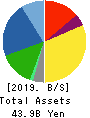 TOWA CORPORATION Balance Sheet 2019年3月期