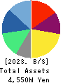 Excite Holdings Co.,Ltd. Balance Sheet 2023年3月期