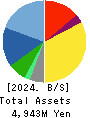 WATTMANN CO.,LTD. Balance Sheet 2024年Mar期 WATTMANN CO.,LTD. Balance Sheet 2024年3月期