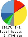 Fabrica Holdings Co., Ltd. Balance Sheet 2025年Mar期 Fabrica Holdings Co., Ltd. Balance Sheet 2025年3月期