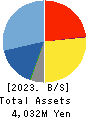 Techfirm Holdings Inc. Balance Sheet 2023年6月期