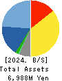 eSOL Co.,Ltd. Balance Sheet 2024年Dec期 eSOL Co.,Ltd. Balance Sheet 2024年12月期