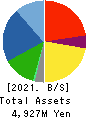 DM Solutions Co.,Ltd Balance Sheet 2021年Mar期 DM Solutions Co.,Ltd Balance Sheet 2021年3月期
