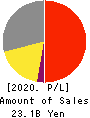 TOYO Corporation Profit and Loss Account 2020年9月期