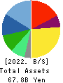 MITSUI MATSUSHIMA HOLDINGS CO., LTD. Balance Sheet 2022年Mar期 MITSUI MATSUSHIMA HOLDINGS CO., LTD. Balance Sheet 2022年3月期