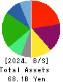 MEDICAL SYSTEM NETWORK Co.,Ltd. Balance Sheet 2024年Mar期 MEDICAL SYSTEM NETWORK Co.,Ltd. Balance Sheet 2024年3月期