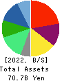 Solasto Corporation Balance Sheet 2022年3月期