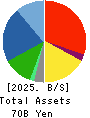 OCHI HOLDINGS CO.,LTD. Balance Sheet 2025年Mar期 OCHI HOLDINGS CO.,LTD. Balance Sheet 2025年3月期