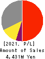 Ricksoft Co.,Ltd. Profit and Loss Account 2021年2月期