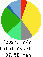 SAN HOLDINGS,INC. Balance Sheet 2024年3月期