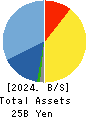ANYCOLOR Inc. Balance Sheet 2024年Apr期 ANYCOLOR Inc. Balance Sheet 2024年4月期