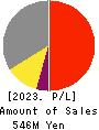 Image Information Inc. Profit and Loss Account 2023年3月期