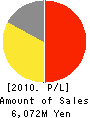 GameOn Co.,Ltd. Profit and Loss Account 2010年12月期