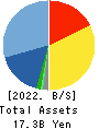 SEMBA CORPORATION Balance Sheet 2022年12月期
