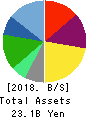 BroadBand Tower, Inc. Balance Sheet 2018年Jun期 BroadBand Tower, Inc. Balance Sheet 2018年6月期