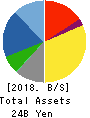 OZU CORPORATION Balance Sheet 2018年5月期