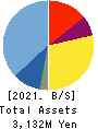 Nyle Inc. Balance Sheet 2021年12月期