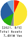 ESTIC CORPORATION Balance Sheet 2021年Mar期 ESTIC CORPORATION Balance Sheet 2021年3月期