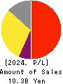 AlphaPolis Co.,Ltd. Profit and Loss Account 2024年3月期